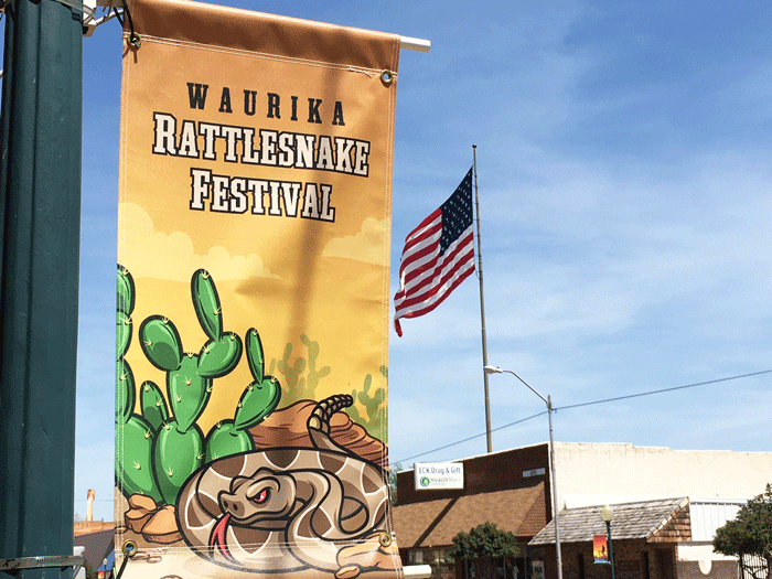 Annual Rattlesnake Hunt Photos and Competition Results Waurika News